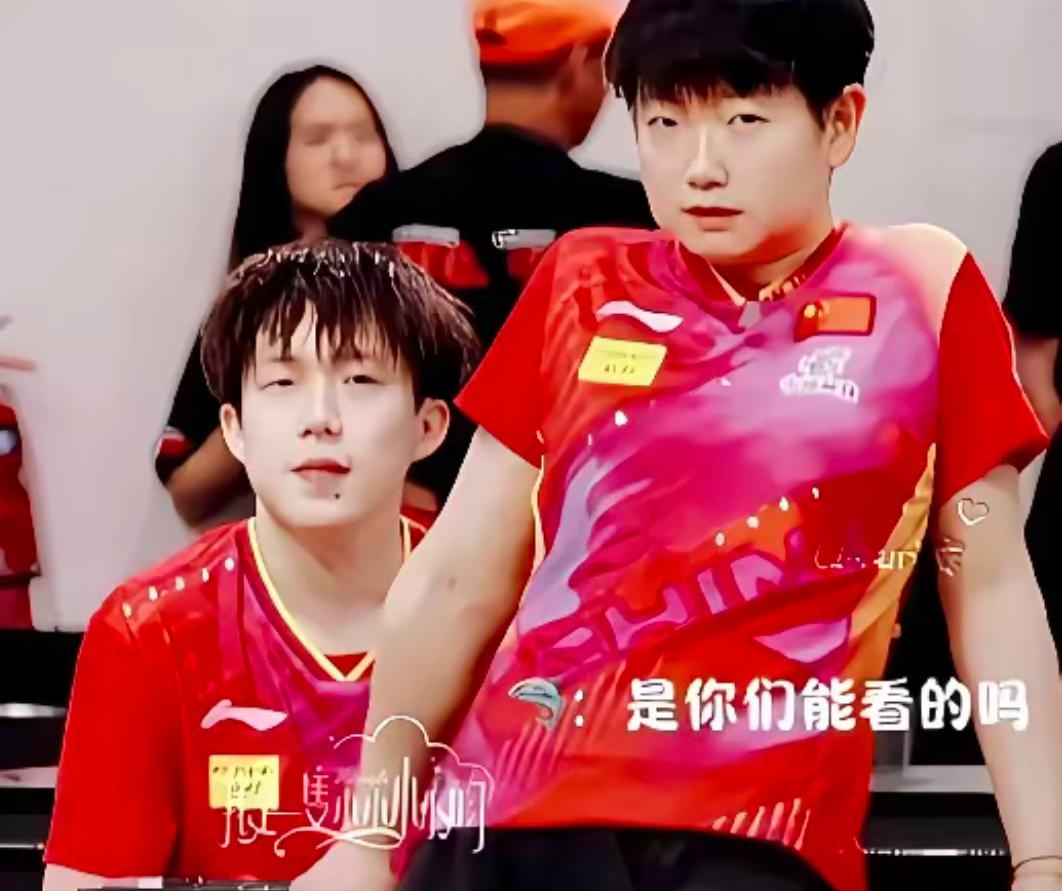 关于日本乒乓球队血洗波兰乒乓球队，许昕制霸全场的信息