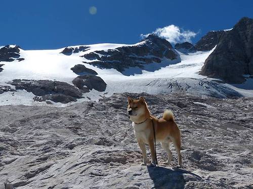 从眉式节奏到胜利法则，当快船用雄鹿的方式击败雄鹿