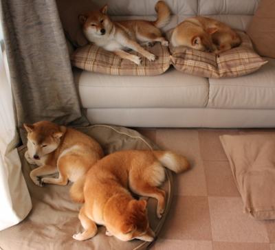 世俱杯时间-巴尔韦德一锤定音，蓝军铁血逆转亚特兰大强势晋级