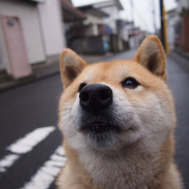 世俱杯时间-库里关键三分+压哨助攻！魔术绝地逆转北京队