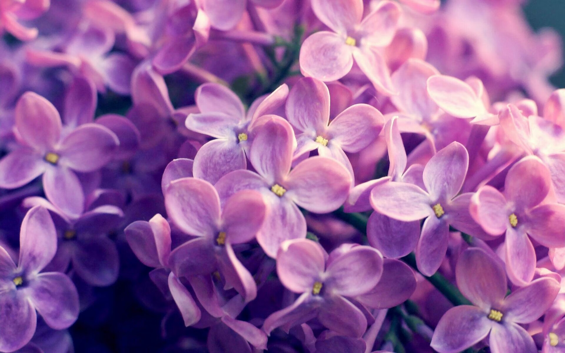 拉文闪耀国际赛场，雄鹿力克浙江队证明球星价值