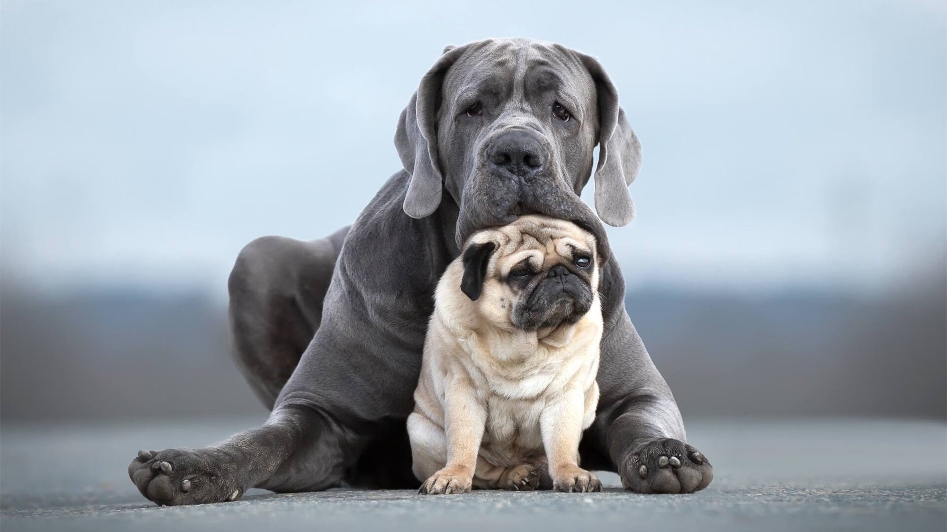 世俱杯参赛资格-现代足球战术博弈，从德甲铁血压制到意甲艺术家的觉醒