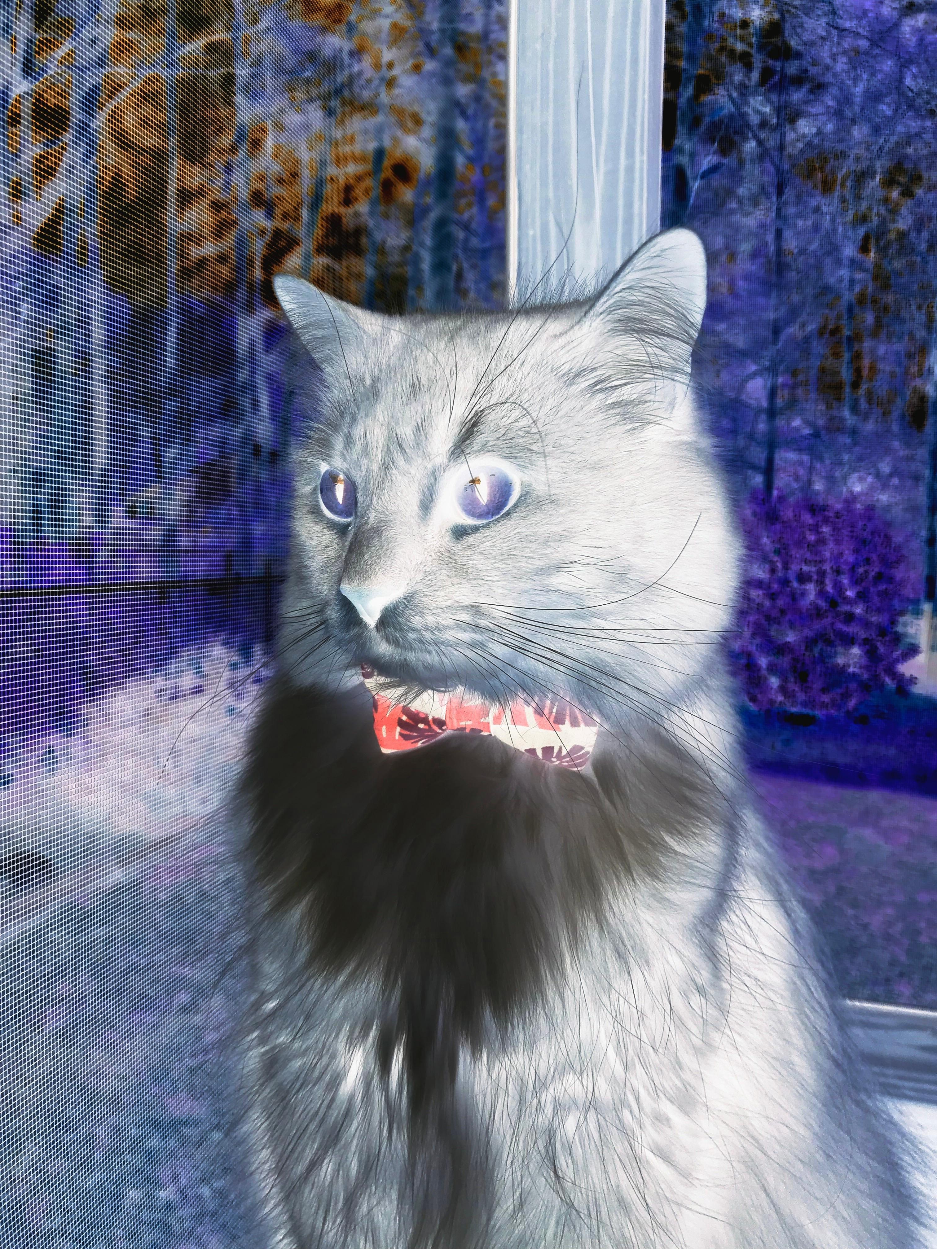 世俱杯时间-戈贝尔内线统治力尽显，公牛最后时刻逆转太阳险胜