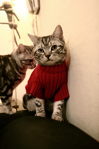 赛道绿茵场，当弗拉霍维奇在F1街道赛接管比赛，尤文已全面压制日本