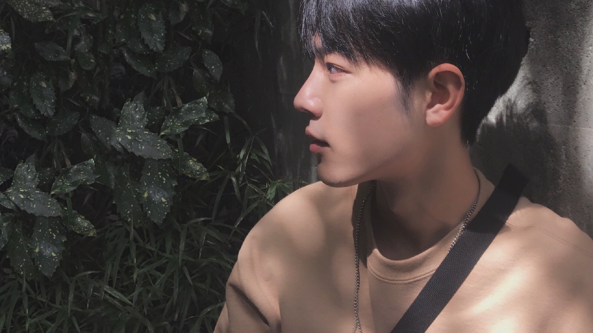 凯尔特人战术全面压制浙江队，马克西化身关键先生定乾坤