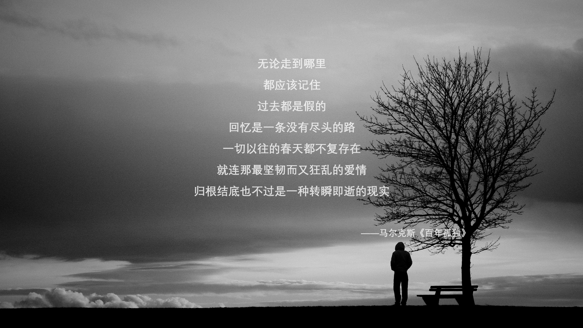 节奏大师文班亚马，一场比赛如何重新定义开拓者vs尼克斯的胜负天平