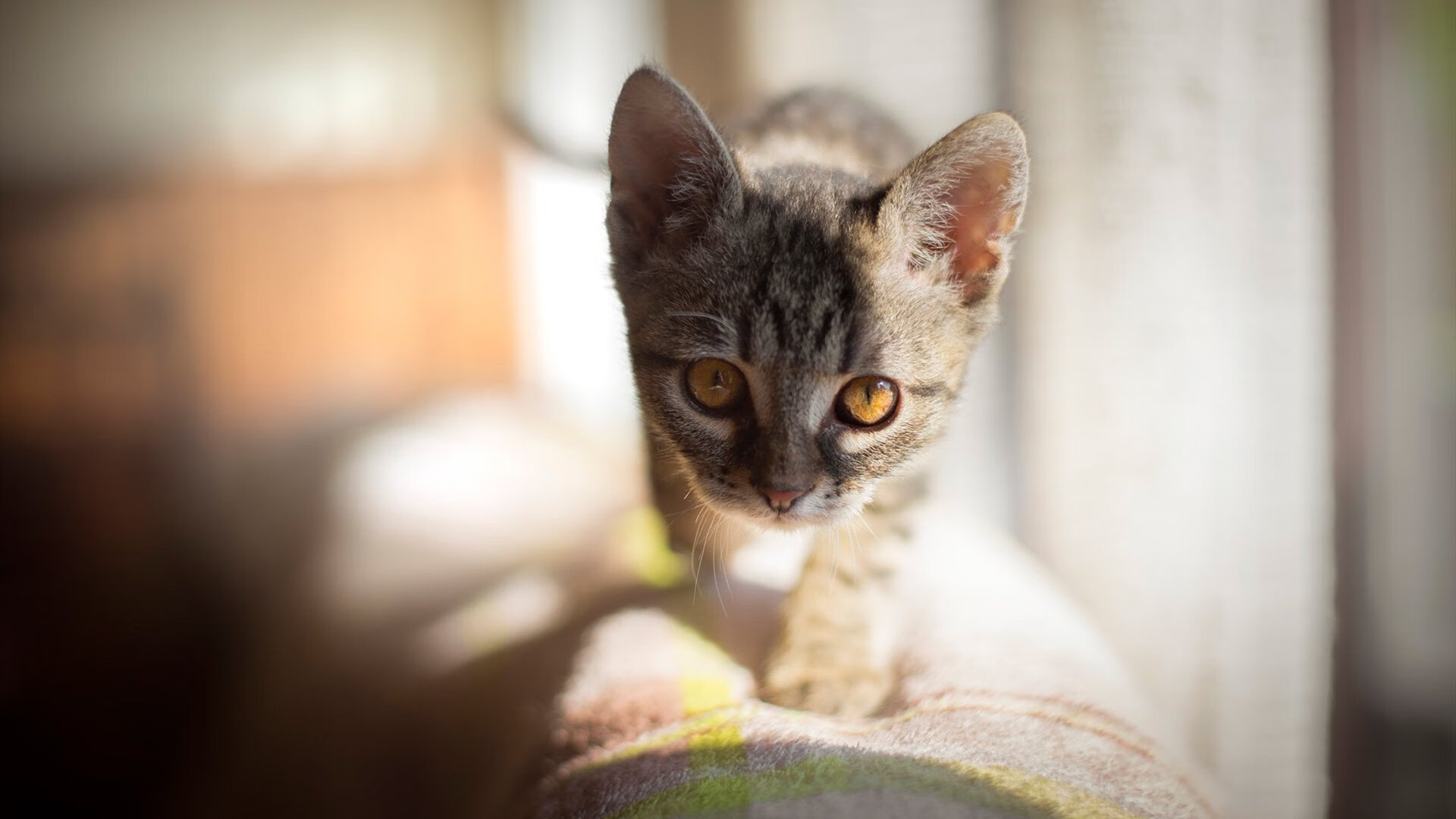 寸寸危崖显真身，卡塞米罗如何化身红魔的大场面先生