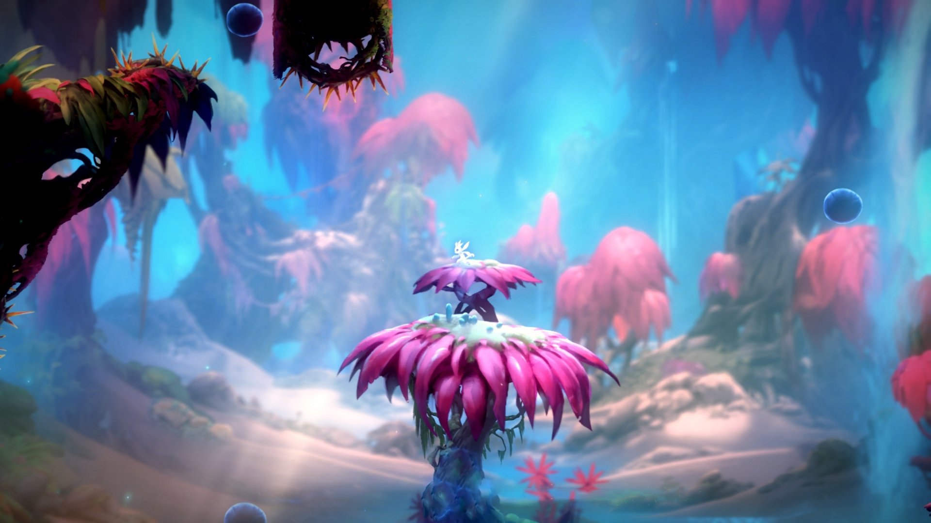 美加墨世界杯焦点战，威尔士「红龙」如何一波带走「蓝狮」切尔西？